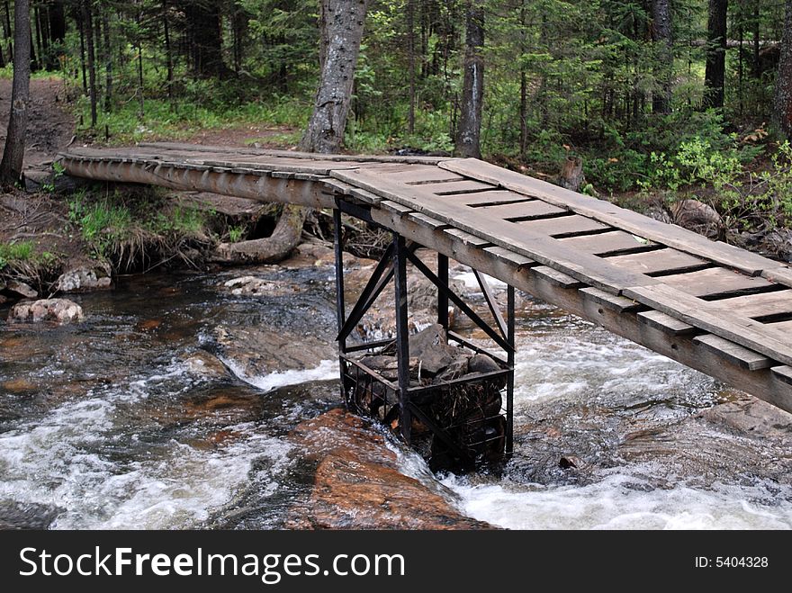 Boards bridge in the forest