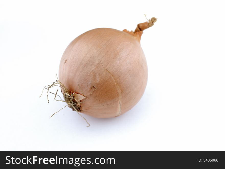 An onion on white background