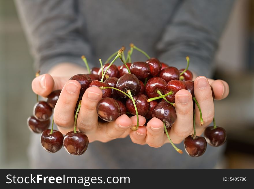 Hands full of fresh ripe cherry, shallow DOF. Hands full of fresh ripe cherry, shallow DOF