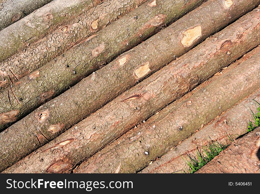 Row of log wood with bark