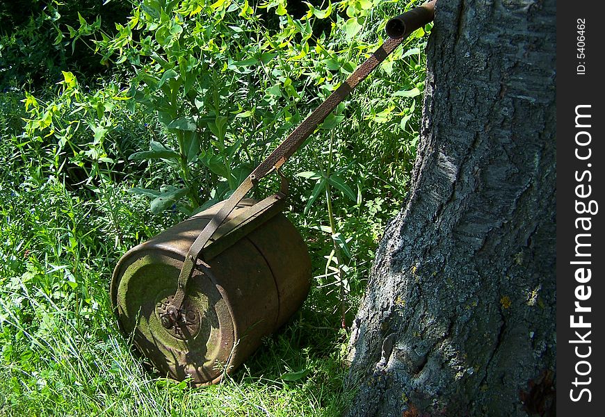 A garden lawn roller propped against a tree trunk cast in dappled sunlight.