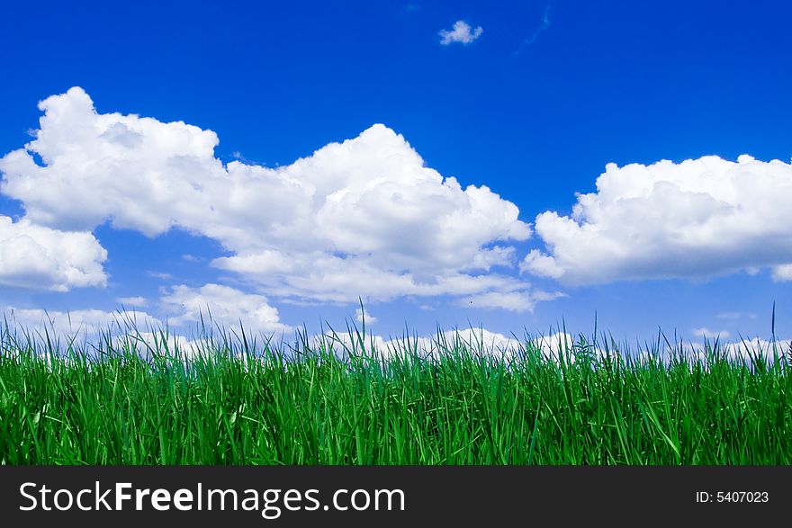 Green grass and blue sky. Green grass and blue sky.