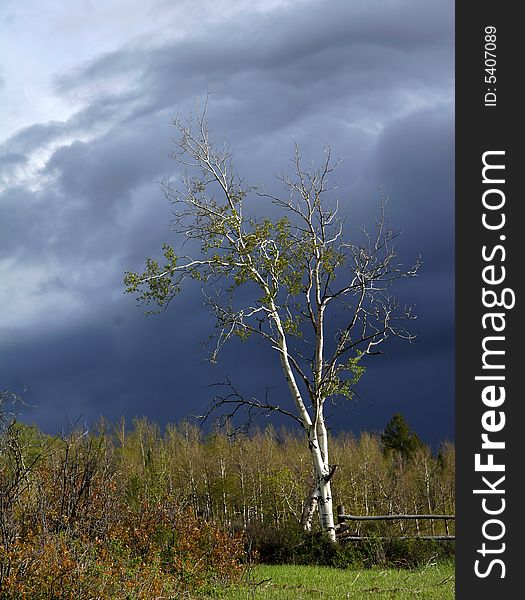 Grand Tetons National Park is the setting for a sunset with dramatic lighting and a lone tree. Grand Tetons National Park is the setting for a sunset with dramatic lighting and a lone tree