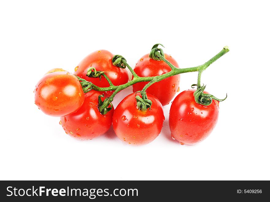 Tomato with white background