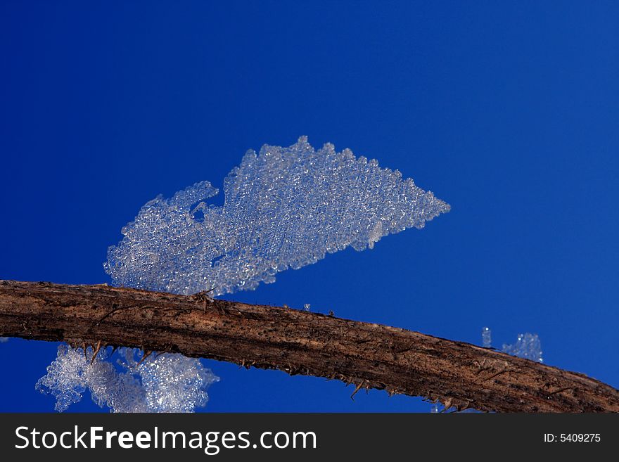 Ice crystal looks like angel's wing. Ice crystal looks like angel's wing