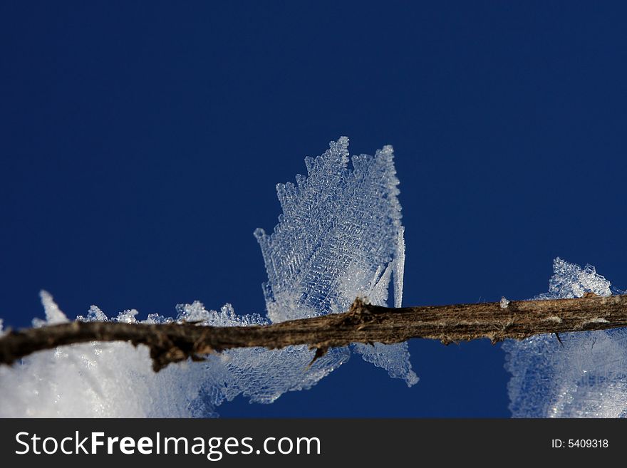 Have a look: ice crystals have the same structure like leaves. Have a look: ice crystals have the same structure like leaves