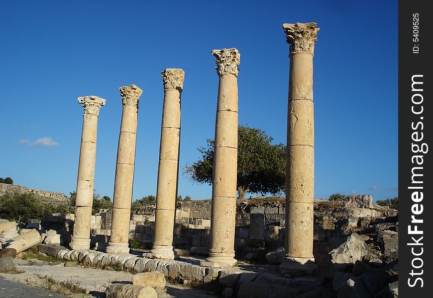 Roman columns and olive trees