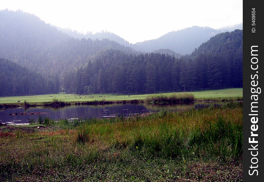 A pond surrounded by mountains with Pinewood trees. A pond surrounded by mountains with Pinewood trees