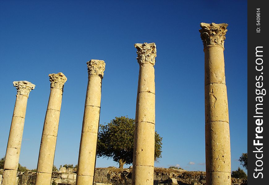 Five Roman columns in Jordan