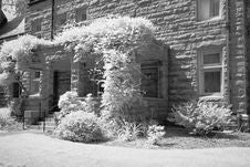 The Infrared Image Of A Church Ground Royalty Free Stock Photography The Infrared Image Of A Church Ground Royalty Free Stock Photography