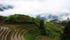 Rice Terraces Stock Photos
