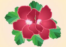 Crimson Flower Stock Photo Crimson Flower Stock Photo