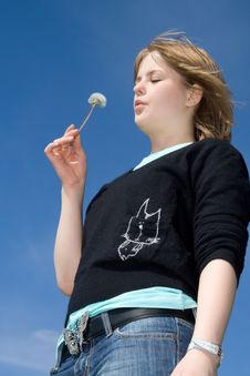 The Young Girl With A Dandelion Stock Images The Young Girl With A Dandelion Stock Images