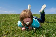 The Young Girl With A Dandelion Stock Photos The Young Girl With A Dandelion Stock Photos