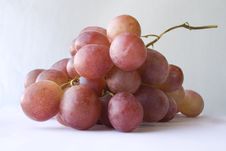 Grapes Stock Photo Grapes Stock Photo