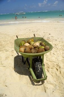 Coconuts For Sale On Exotic Beach Royalty Free Stock Photography Coconuts For Sale On Exotic Beach Royalty Free Stock Photography