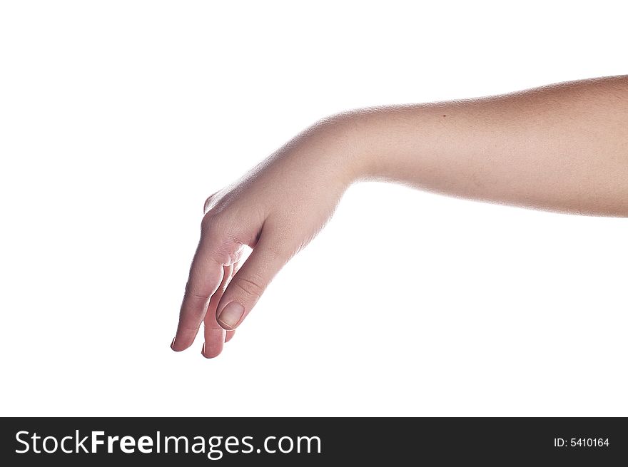 Woman hand isolated on white. Woman hand isolated on white.