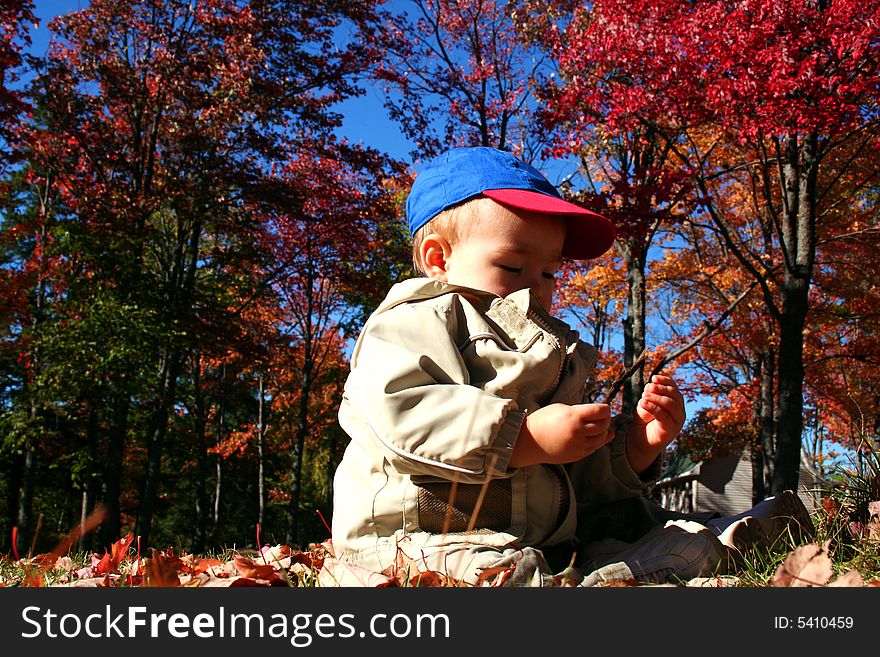 A toddler boy sitting in fall leaves. A toddler boy sitting in fall leaves