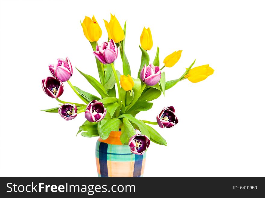 Tulips in the coloured vase