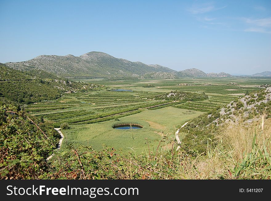 Green fertile fields in Croatia