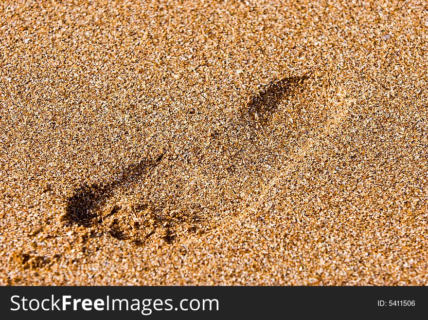 Leisure series: foot step on the beach sand. Leisure series: foot step on the beach sand