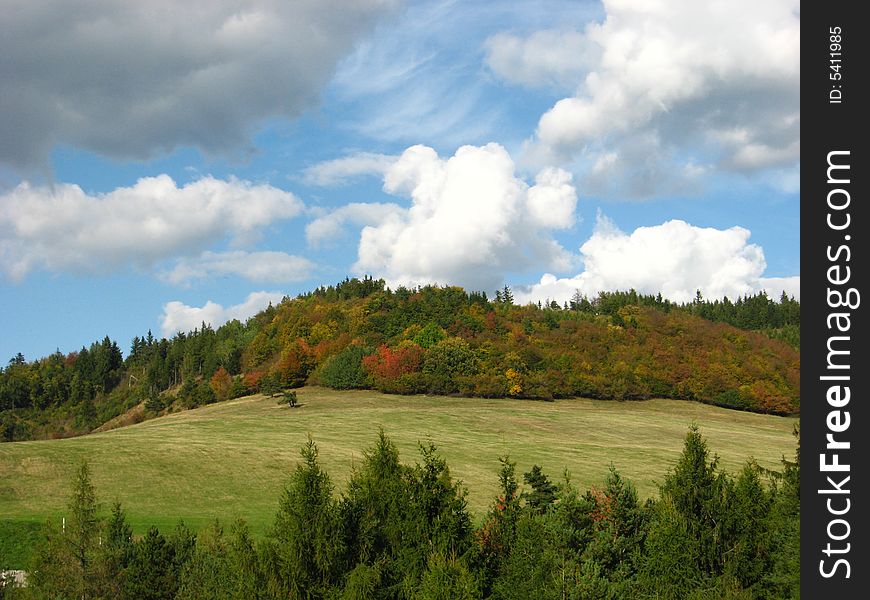 Trees and clouds, nice clean autumn country