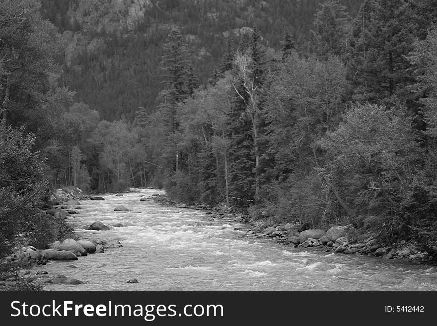 Heading up to Silverton in Colorado the abundance of trees and river combine into a beautiful view. Heading up to Silverton in Colorado the abundance of trees and river combine into a beautiful view