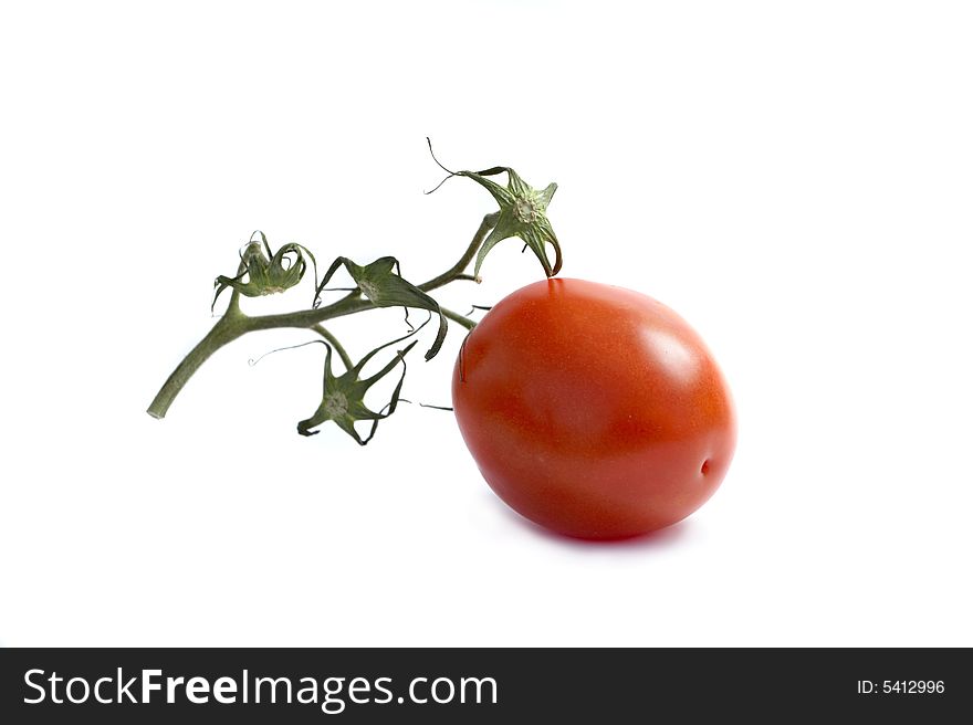 Tomato on the branch on a white background