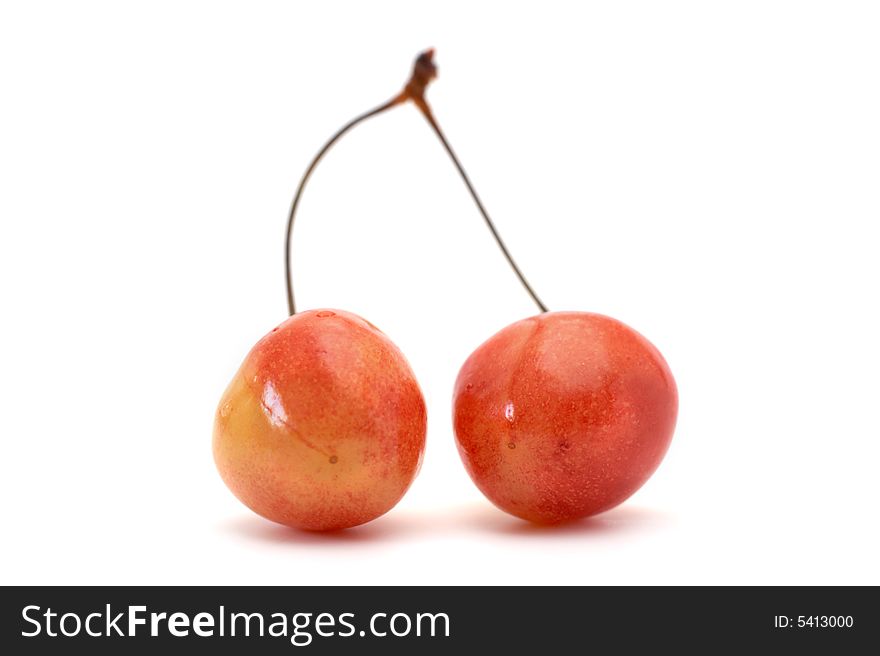 The Fresh Sweet Cherry