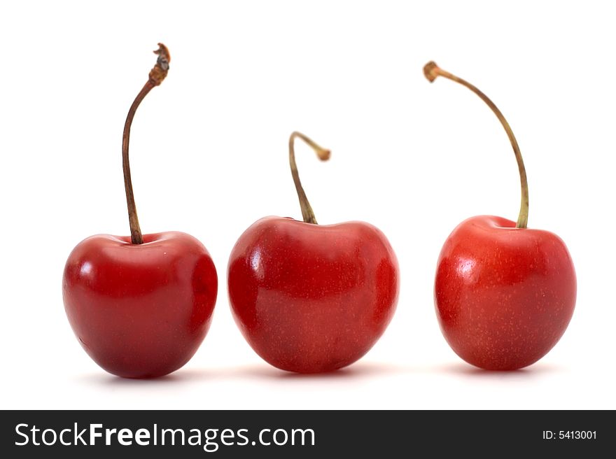 The Fresh Sweet Cherry