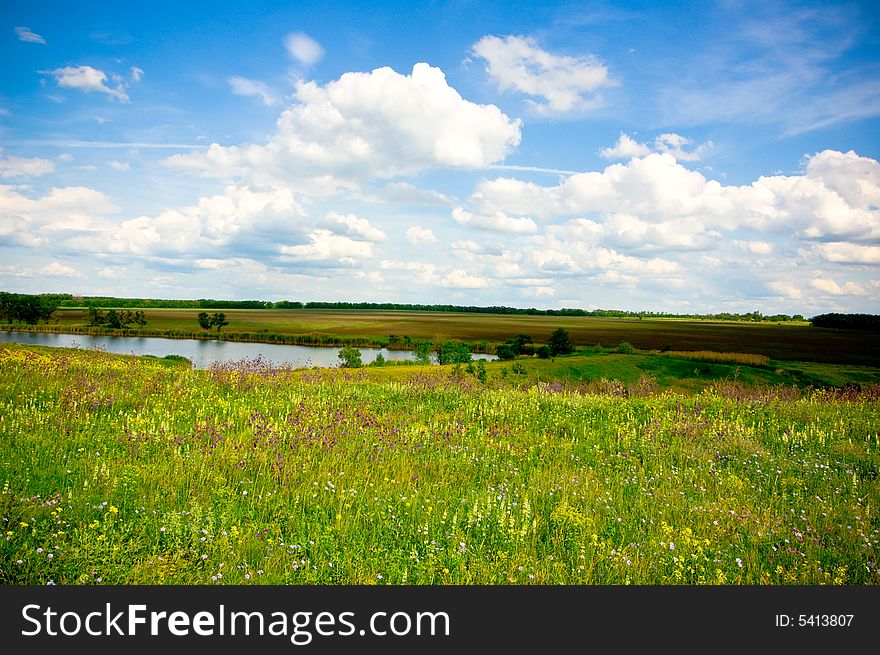 Summer landscape with beautiful meadow