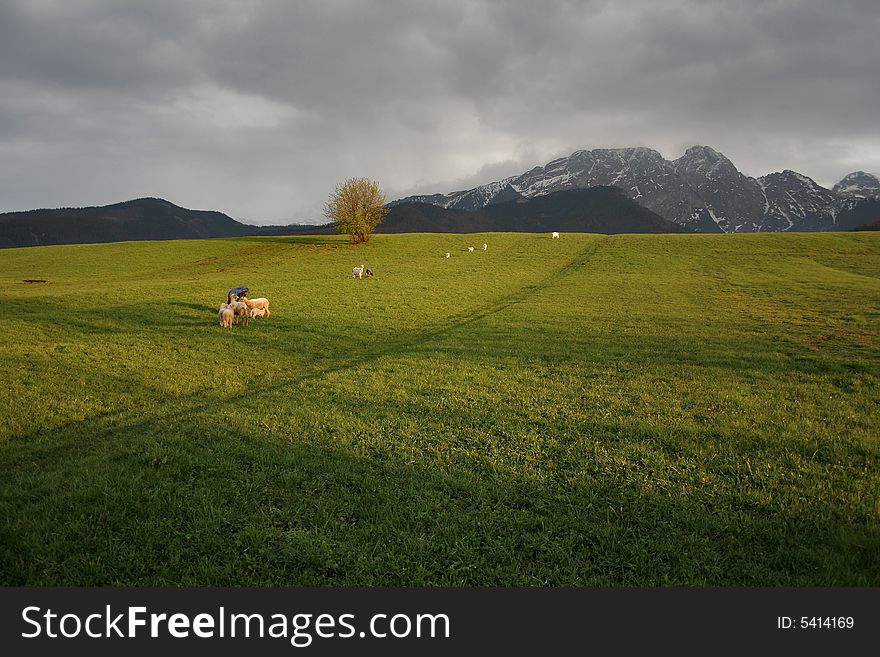 View with famous polish mountain Giewont also named 'Sleaping Knight'. View with famous polish mountain Giewont also named 'Sleaping Knight'