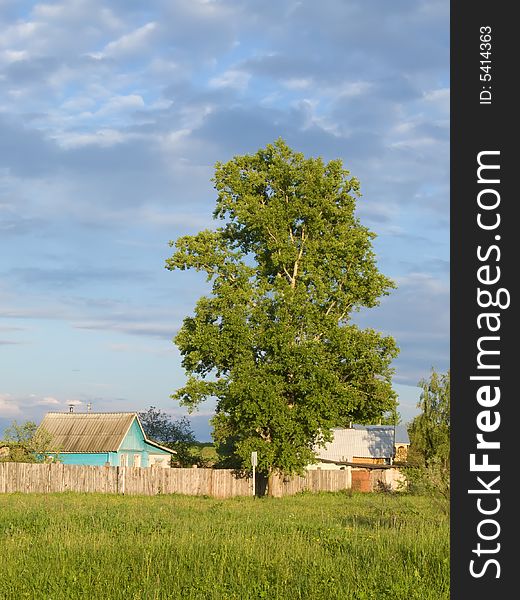 Rural landscape