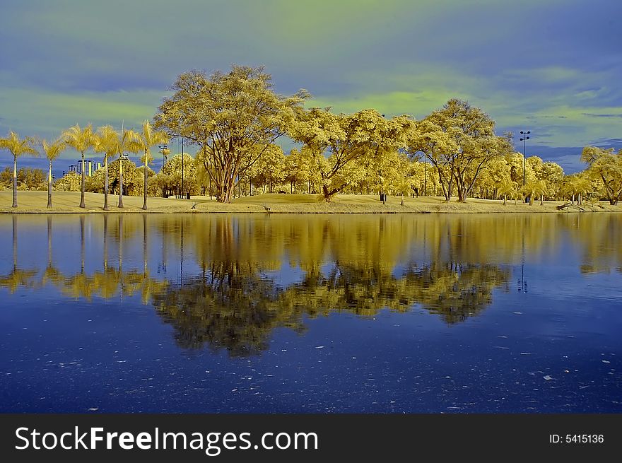 Reflection of tree and sky in the lake