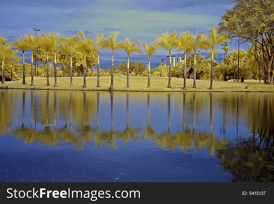 Reflection Of Tree And Sky In The Lake