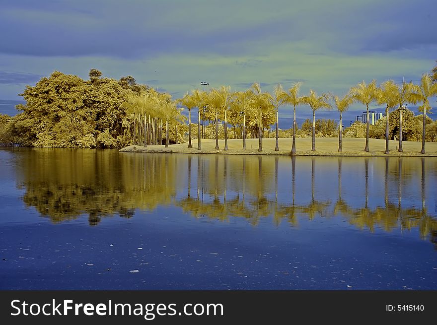 Reflection Of Tree And Sky In The Lake