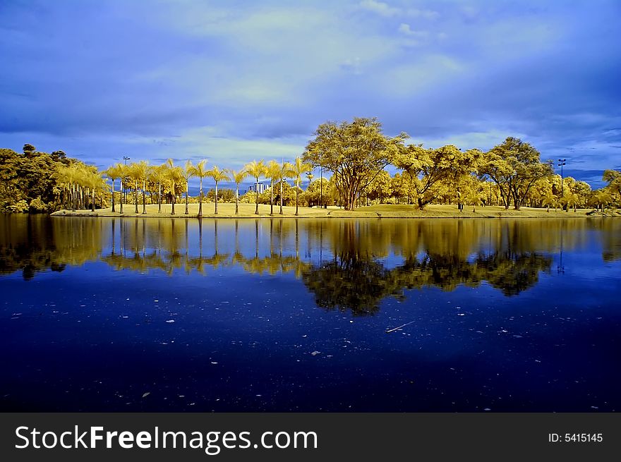 Reflection of tree and sky in the lake