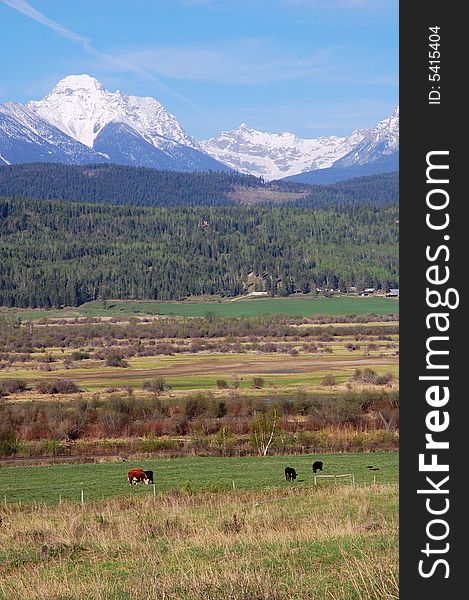 A ranch on the toe of rocky mountain range in kootenay national park, british columbia, canada. A ranch on the toe of rocky mountain range in kootenay national park, british columbia, canada