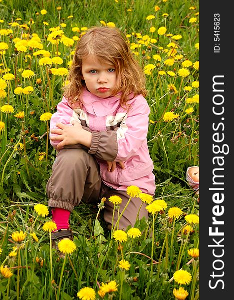 Pretty girl, sitting in dandelions. Pretty girl, sitting in dandelions