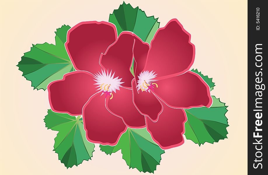 Crimson flower with green leaves. Vector.