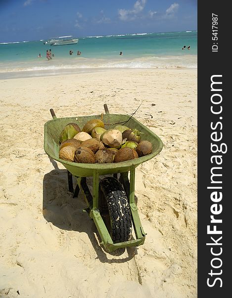 Coconuts for sale on exotic beach