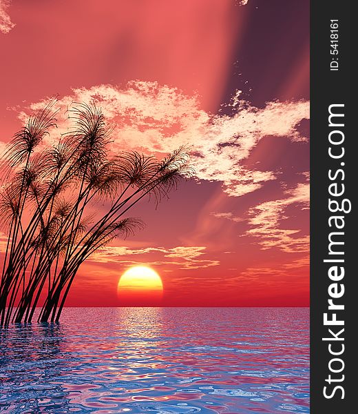 Water plants on a sea sunset  background  -  3D scene. Water plants on a sea sunset  background  -  3D scene.