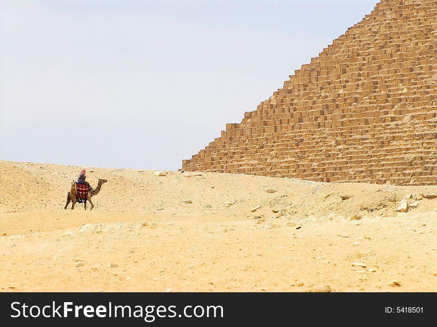 Beduin At Pyramids