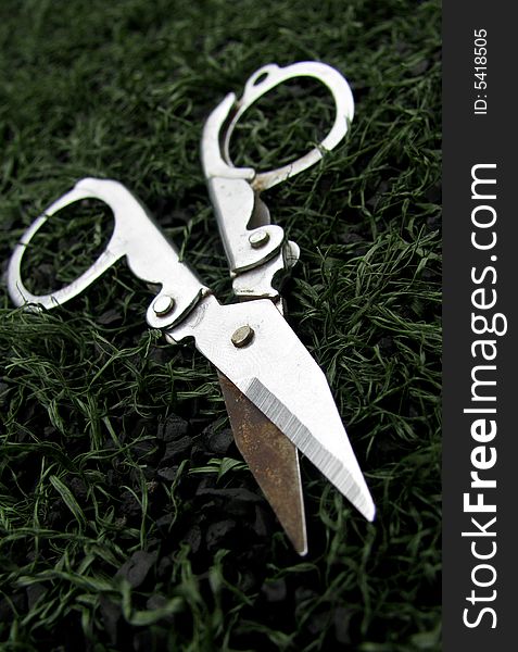 Close up of steel scissors on grass land