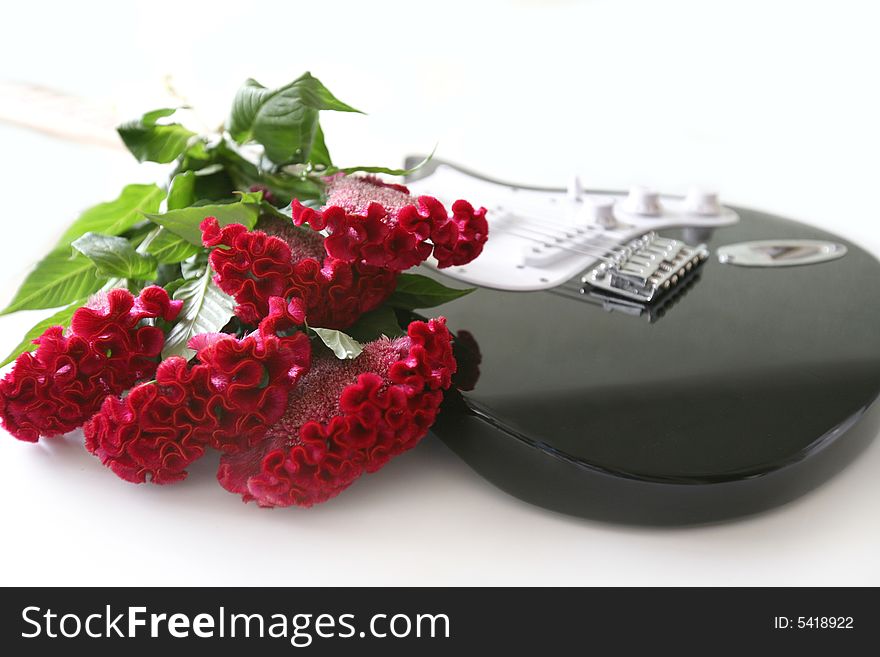 Flowers and guitar on white