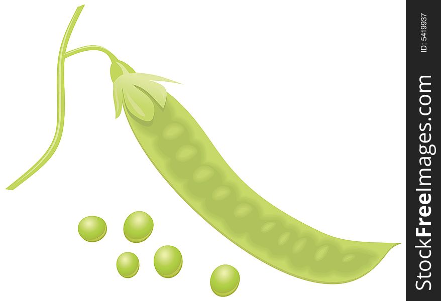 Green pea on the white background. Green pea on the white background