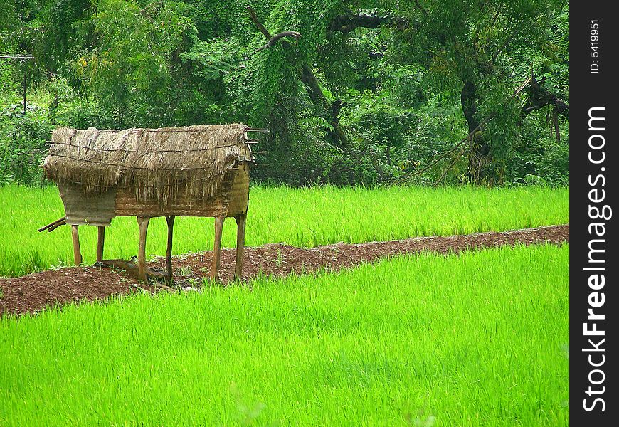 Storage Hut In The Field