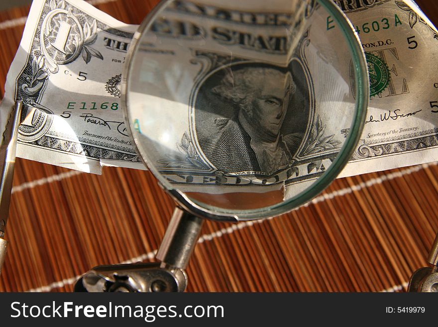 Magnifier With Dollar