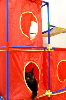 Cat Playhouse Royalty Free Stock Photography