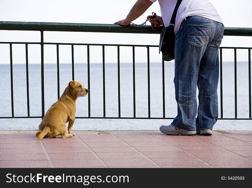 A photo of dog and it's owner. A photo of dog and it's owner